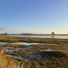 Marsh at sunset