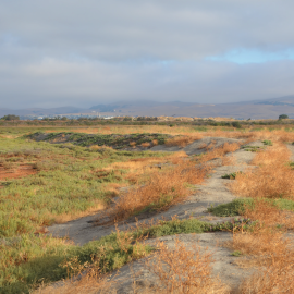Man walking on a berm