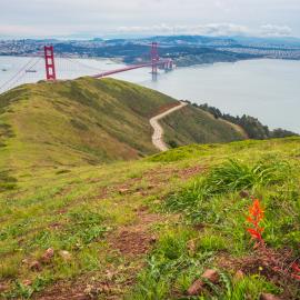 View of the Golden Gate Bridge and San Francisco from the Marin Headlands