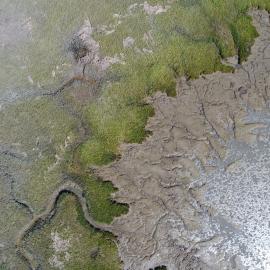 Aerial image of Corte Madera growth edge