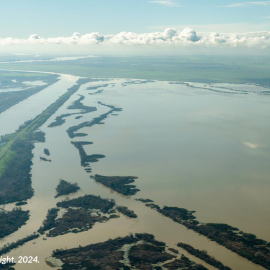 Floodplains of the Sacramento Valley