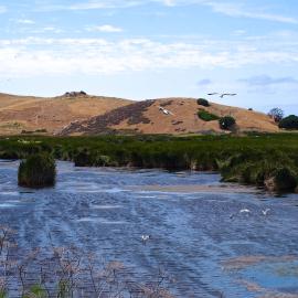 Coyote Hills with stream in the foreground