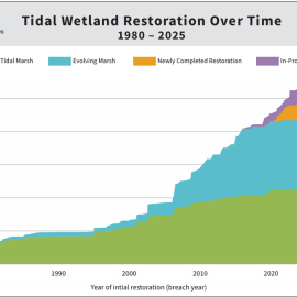 Colored graph showing tidal wetland restoration over time. Graphic includes WRMP logo.