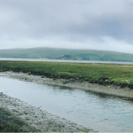 Photo of wetland in Central California