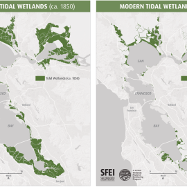 2 page factsheet with maps of tidal wetlands ca. 1850 and 2020