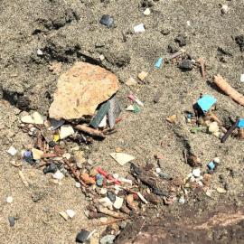 Albany_Beach_microplastics.jpg