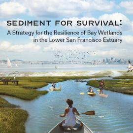 Sediment for Survival title page for web.jpg