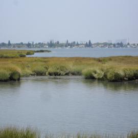 Alameda.jpg