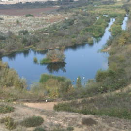 Ballona marsh.png