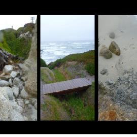 Critical Coast.jpg