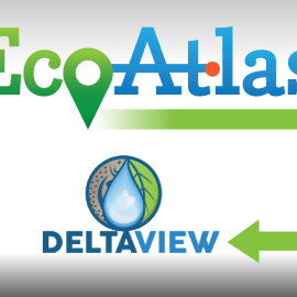Eco TO Deltaview-01.png