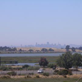 IMGP0342.JPG