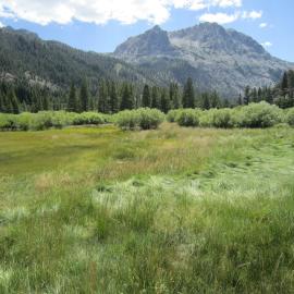 IMG_5227.JPG