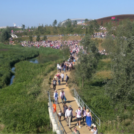 London Olympic Park restored wetlands_credit David Stubbs.png