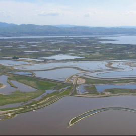 Montezuma Wetlands.png