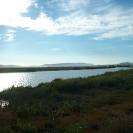 Napa River.jpg