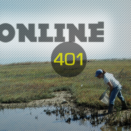 Online401New2015600x450.png