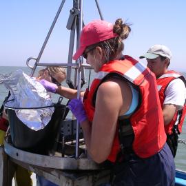 RMP sampling cruise 7-06 010.jpg