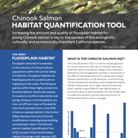 SalmonHQT_GenAudSummary_2019_Page_1.png