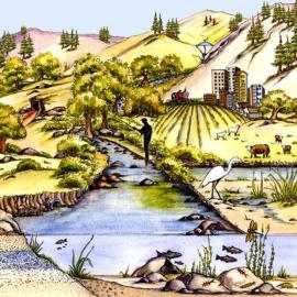 healthy_streams_480_large.jpg