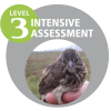 EPA Level 3 Logo