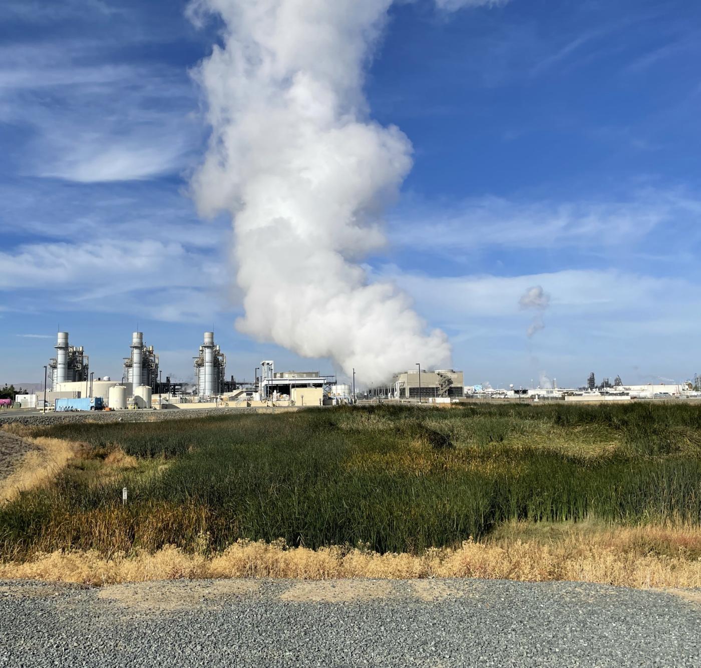 Treatment plant