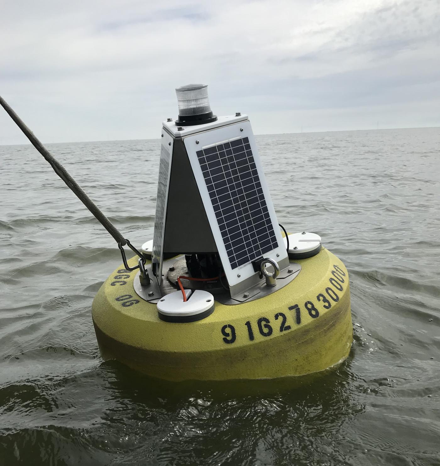 Buoy