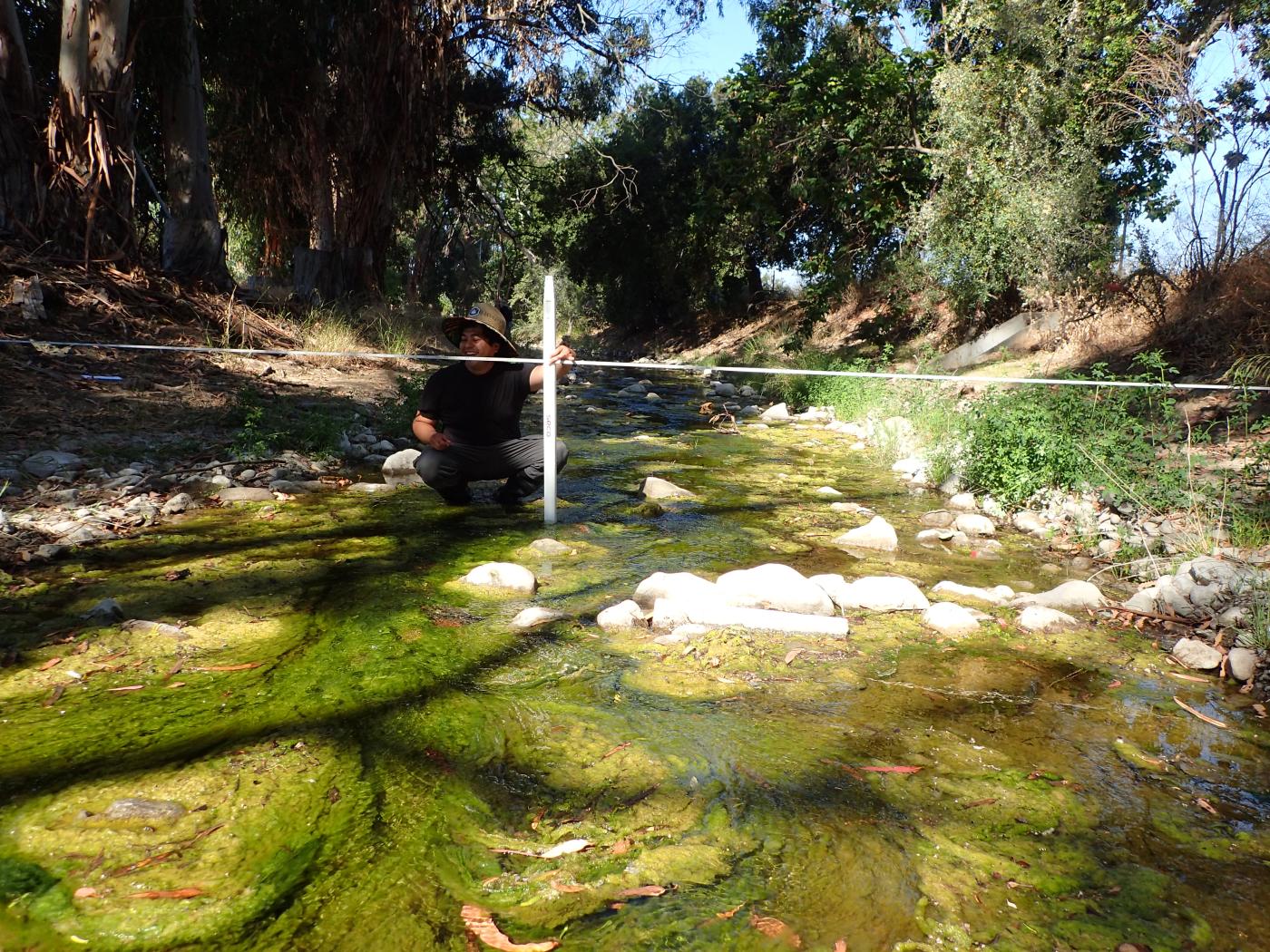Creek monitoring