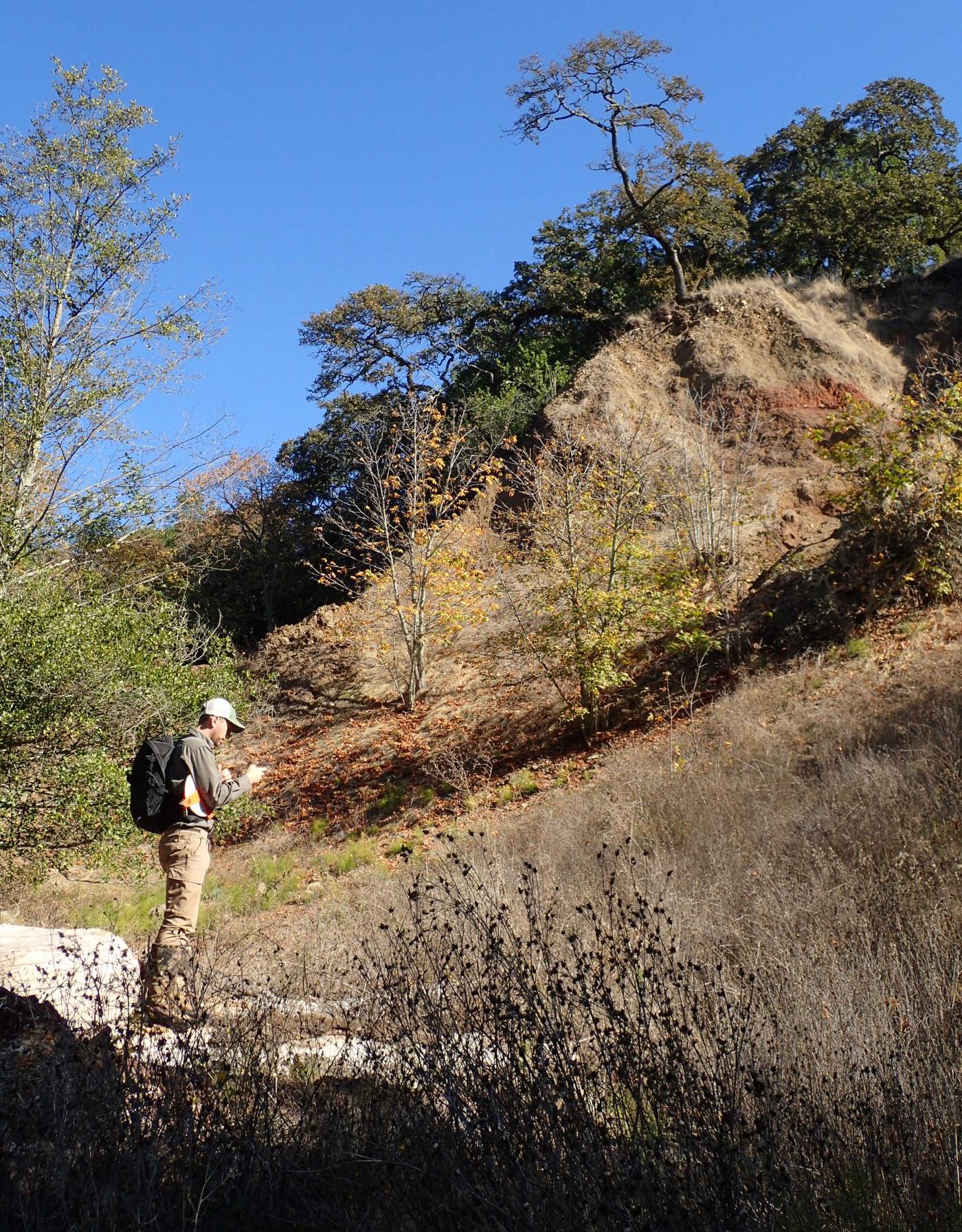 Rock formation