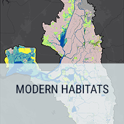 Modern Habitats