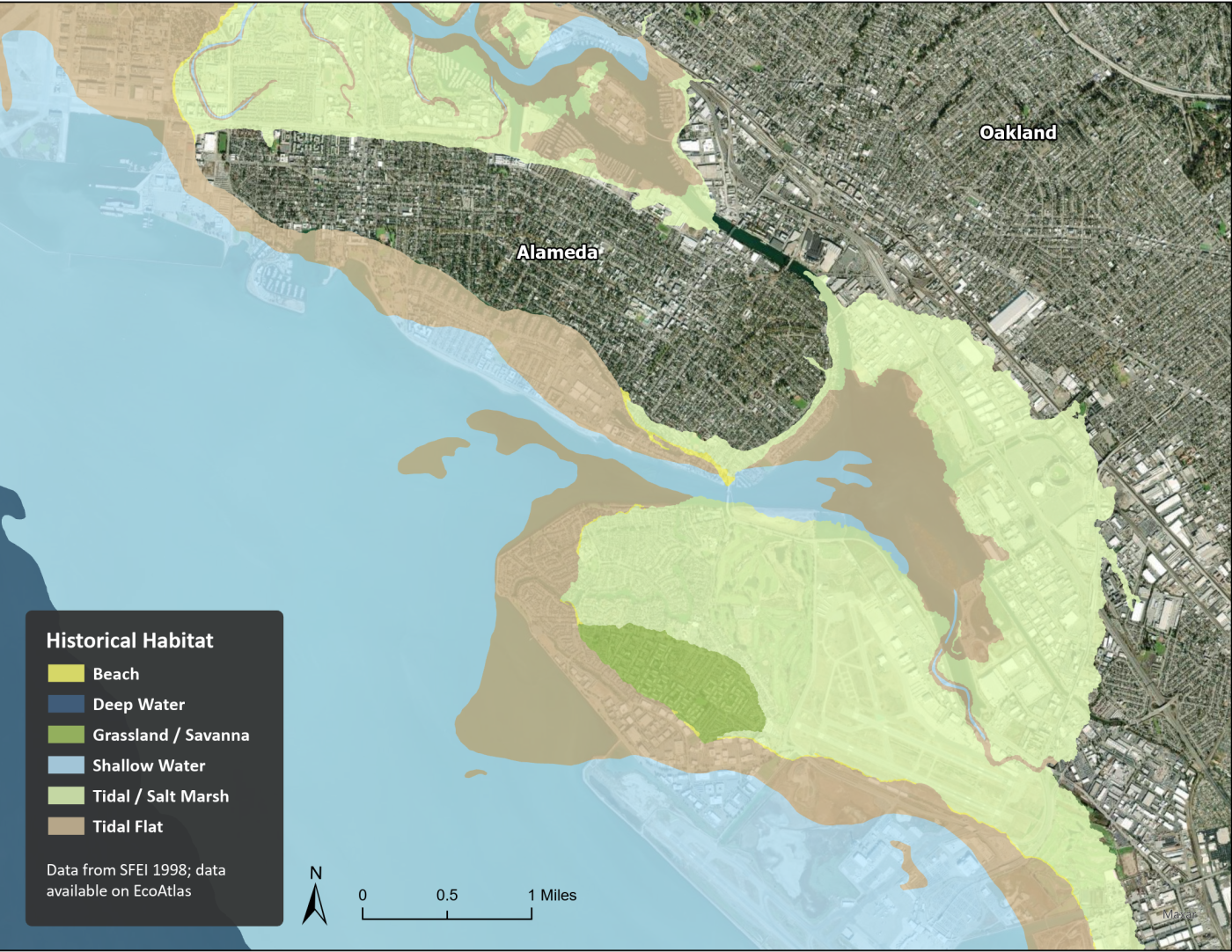 Oakland estuary