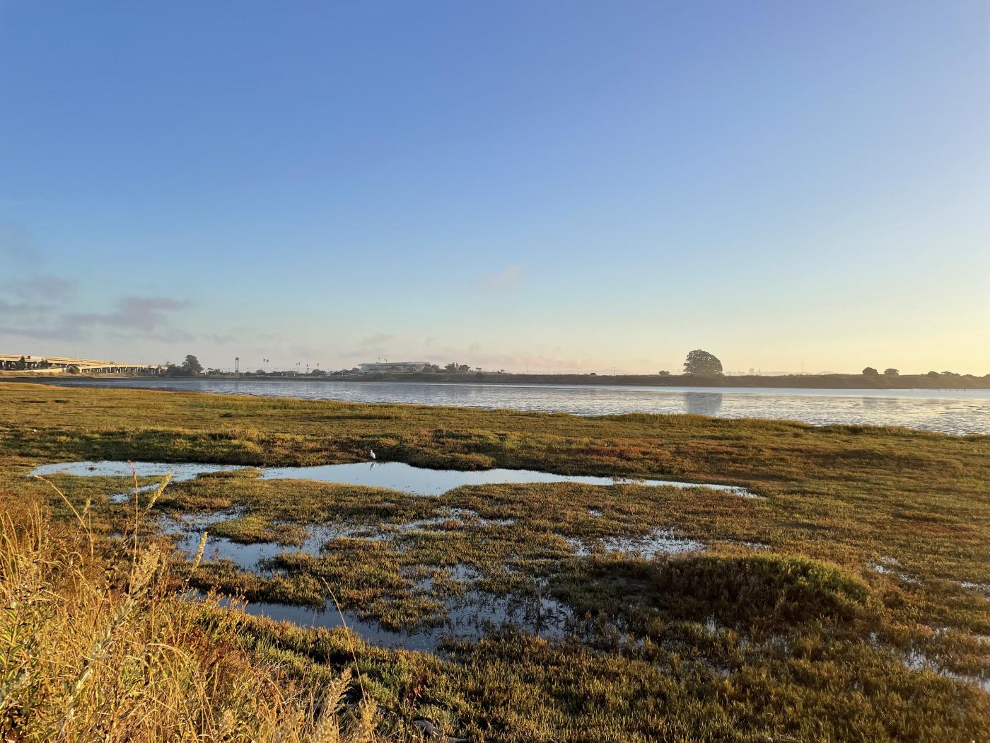 Marsh at sunset
