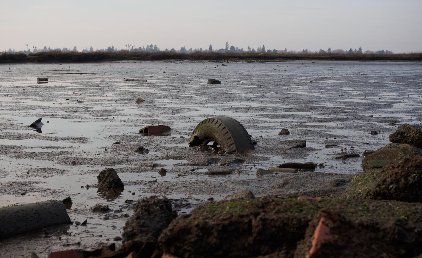 Tire in shallow Bay