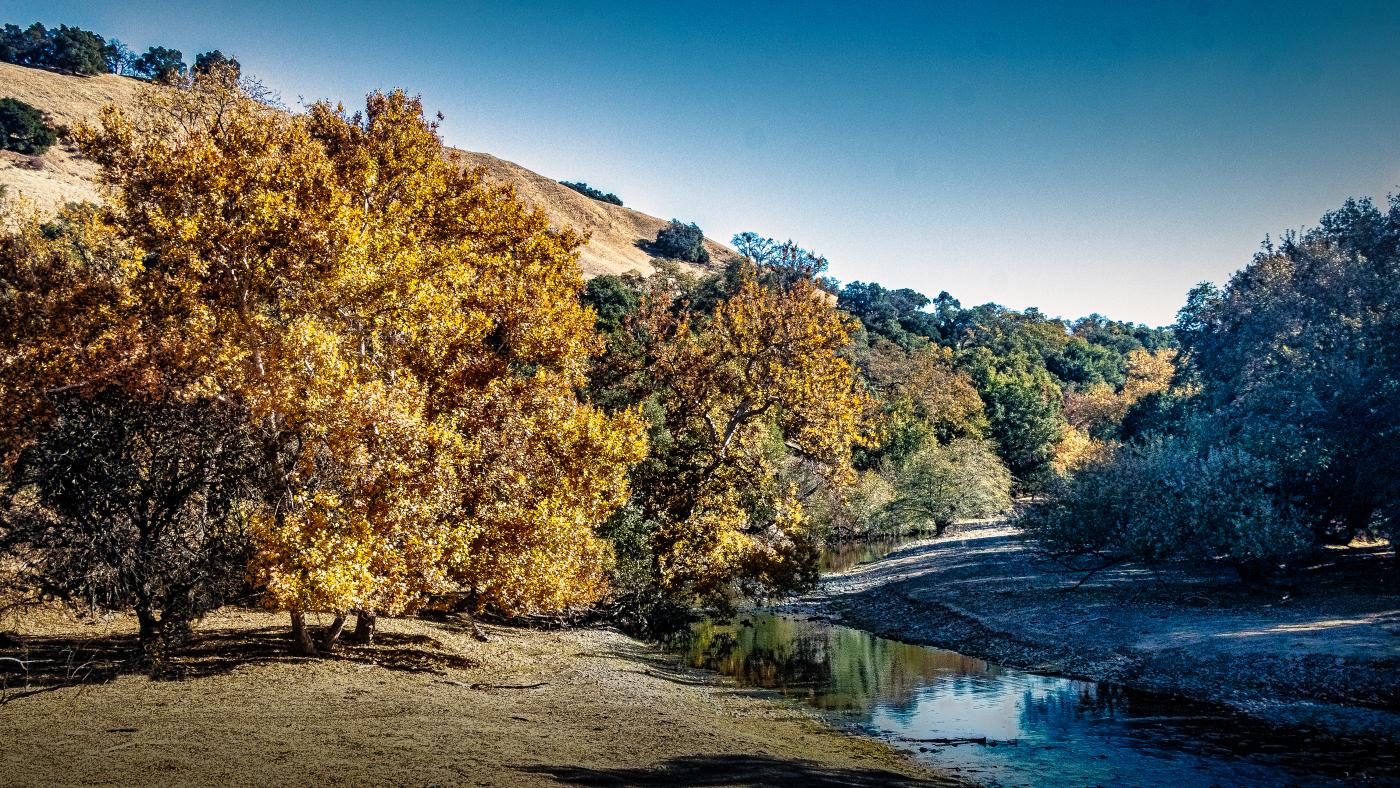 Upper Alameda Creek at Sunol Regional Wilderness Area