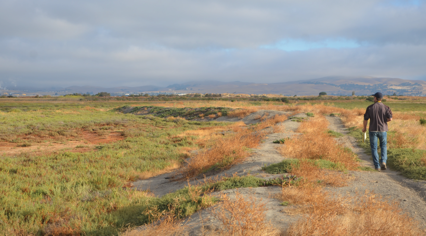 Man walking on a berm