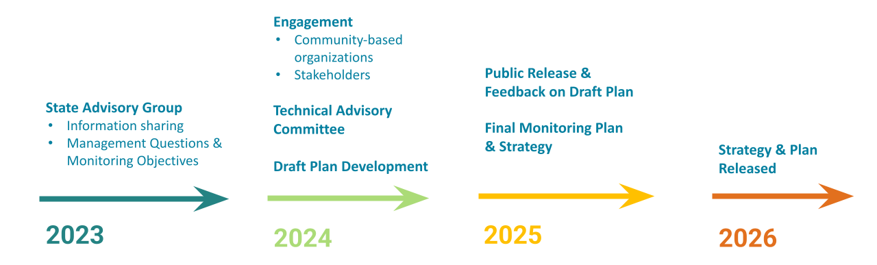 timeline for project