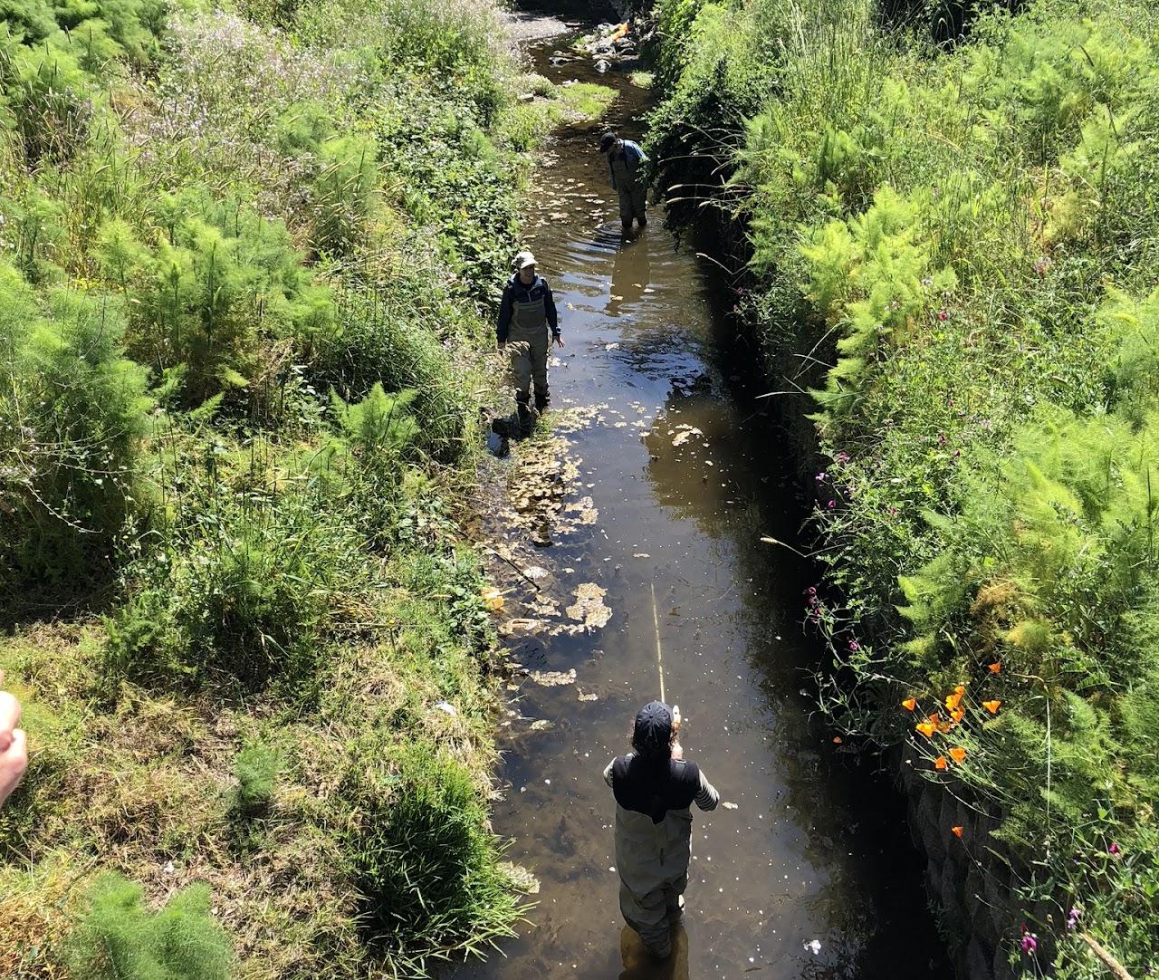 people wading in a creek to monitor trash