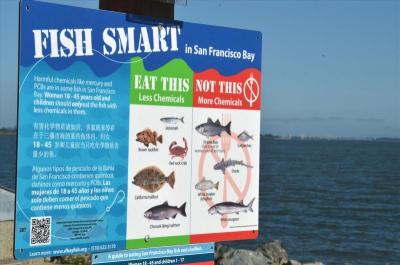 Sf Bay Fish Sign Shimada Parksm_0.jpg